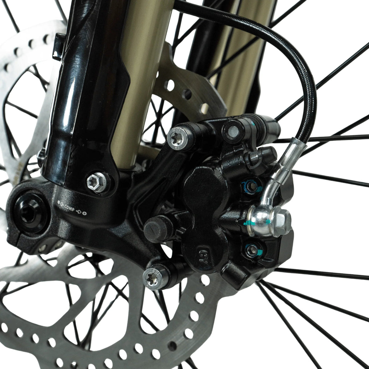 ARCTIC LEOPARD XE PRO R (21"18") - Zappscycles