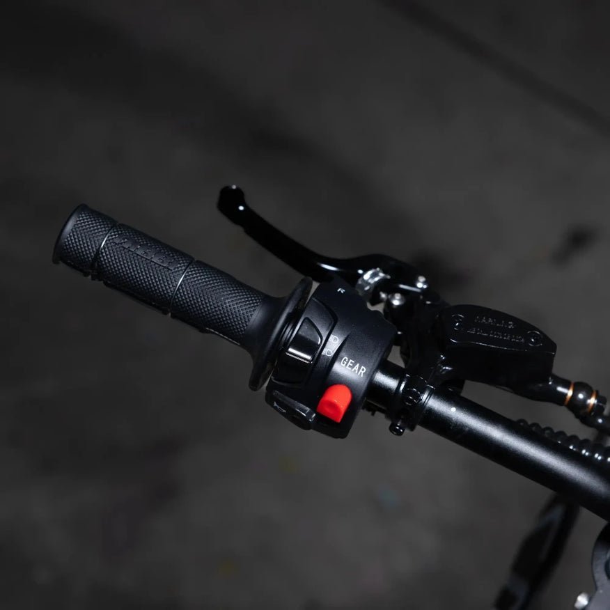 2026 Altis Sigma (25KW) - Zappscycles