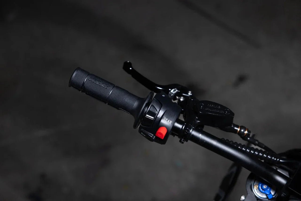 2026 Altis Sigma (25KW) - Zappscycles