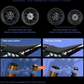 2026 Surron Hyper Bee - Zappscycles