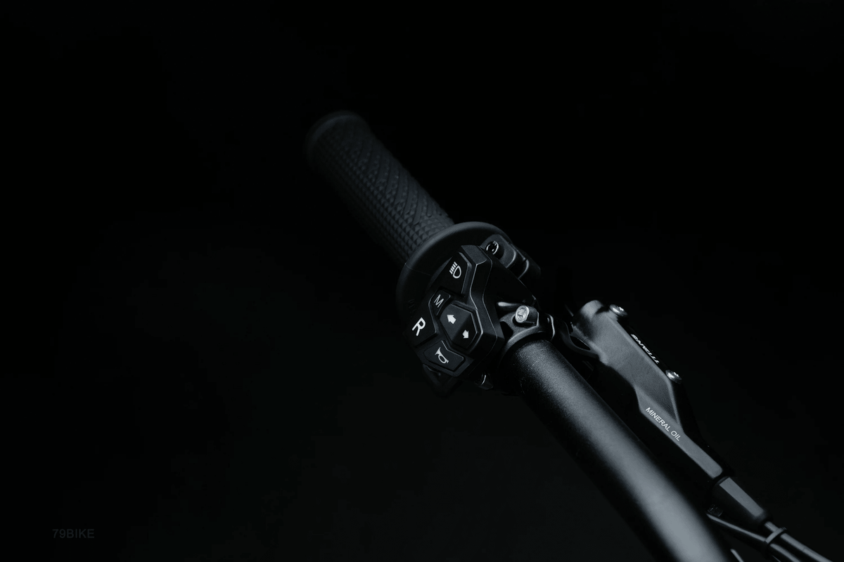 79BIKE Falcon Pro - Zappscycles