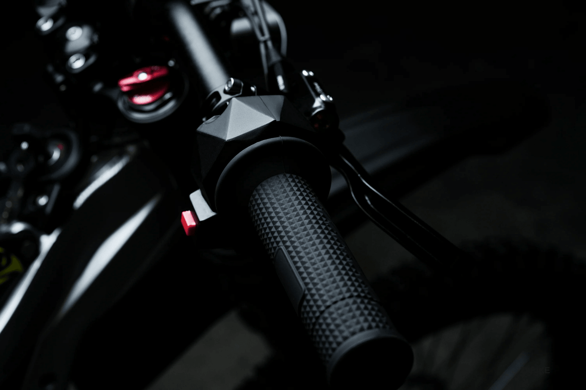 79BIKE Falcon Pro - Zappscycles