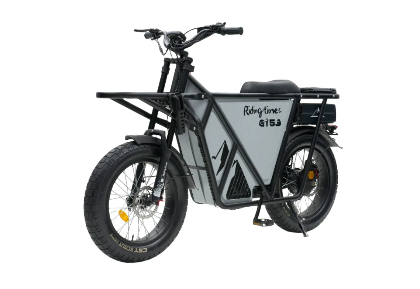 GT53 Utility E bike