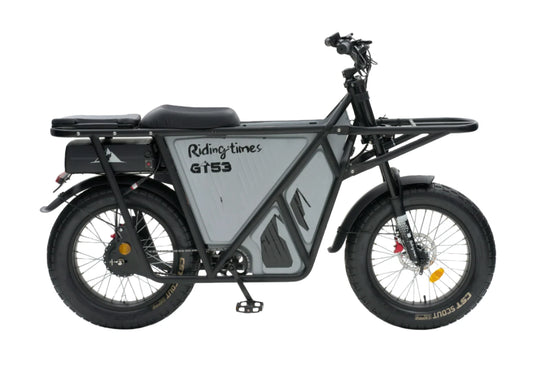 GT53 Utility E bike