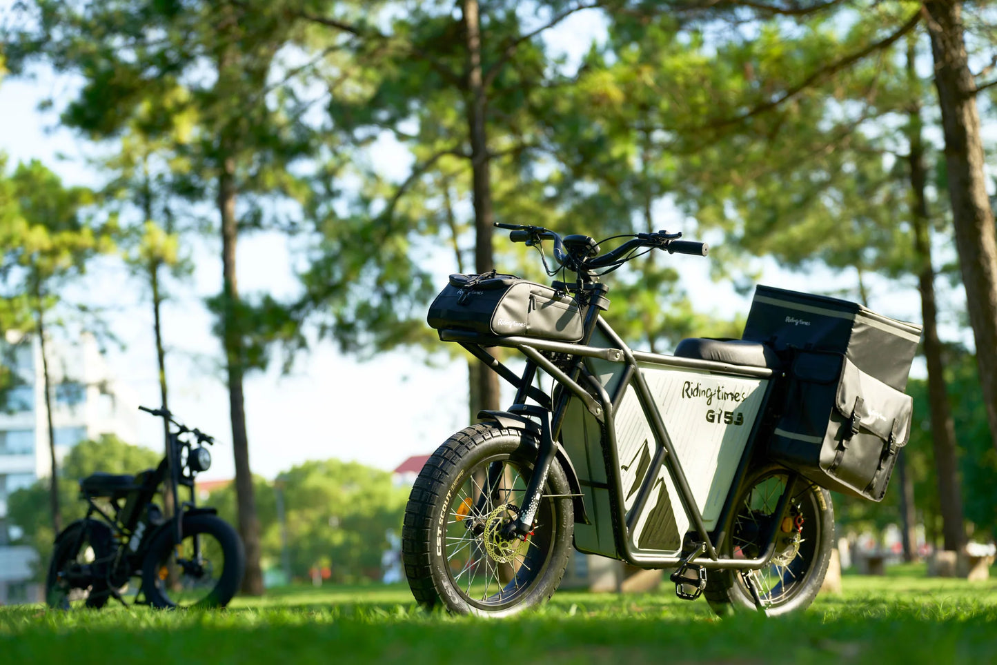 GT53 Utility E bike