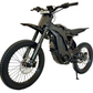 E Ride Pro SS 2.0