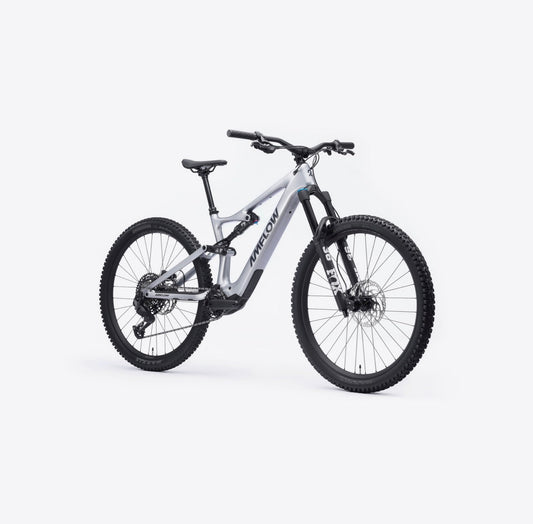 Amflow PL Carbon (800 Wh)