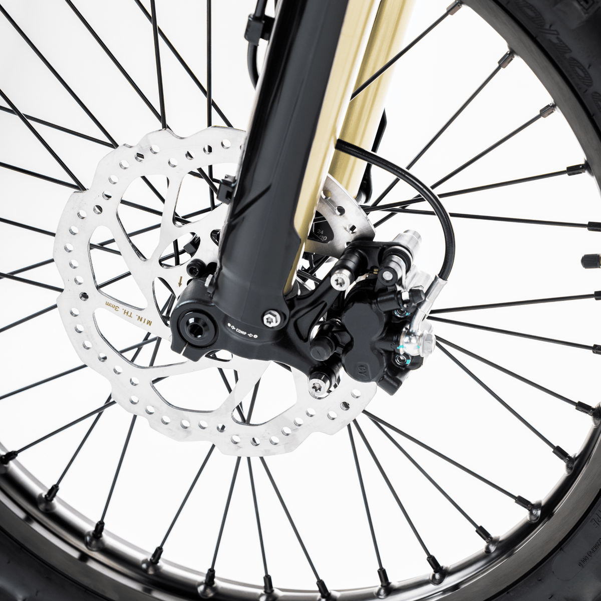 ARCTIC LEOPARD XE PRO R (21"18") - Zappscycles