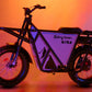 GT53 Utility E bike