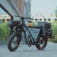 GT53 Utility E bike