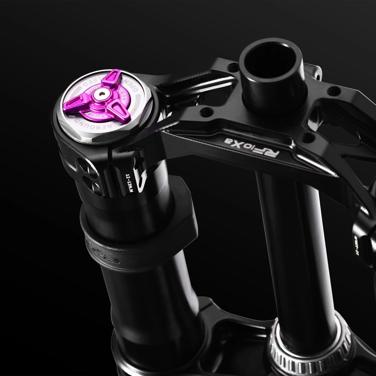 RFloXa Hawk31 Max (Black) - Zappscycles