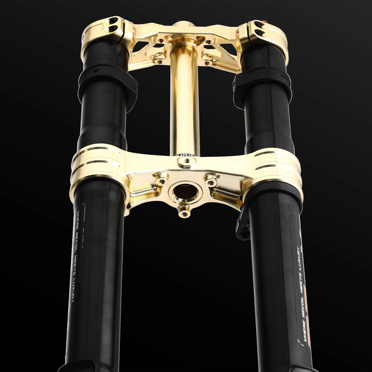 RFloXa Hawk31 Max (Gold) - Zappscycles