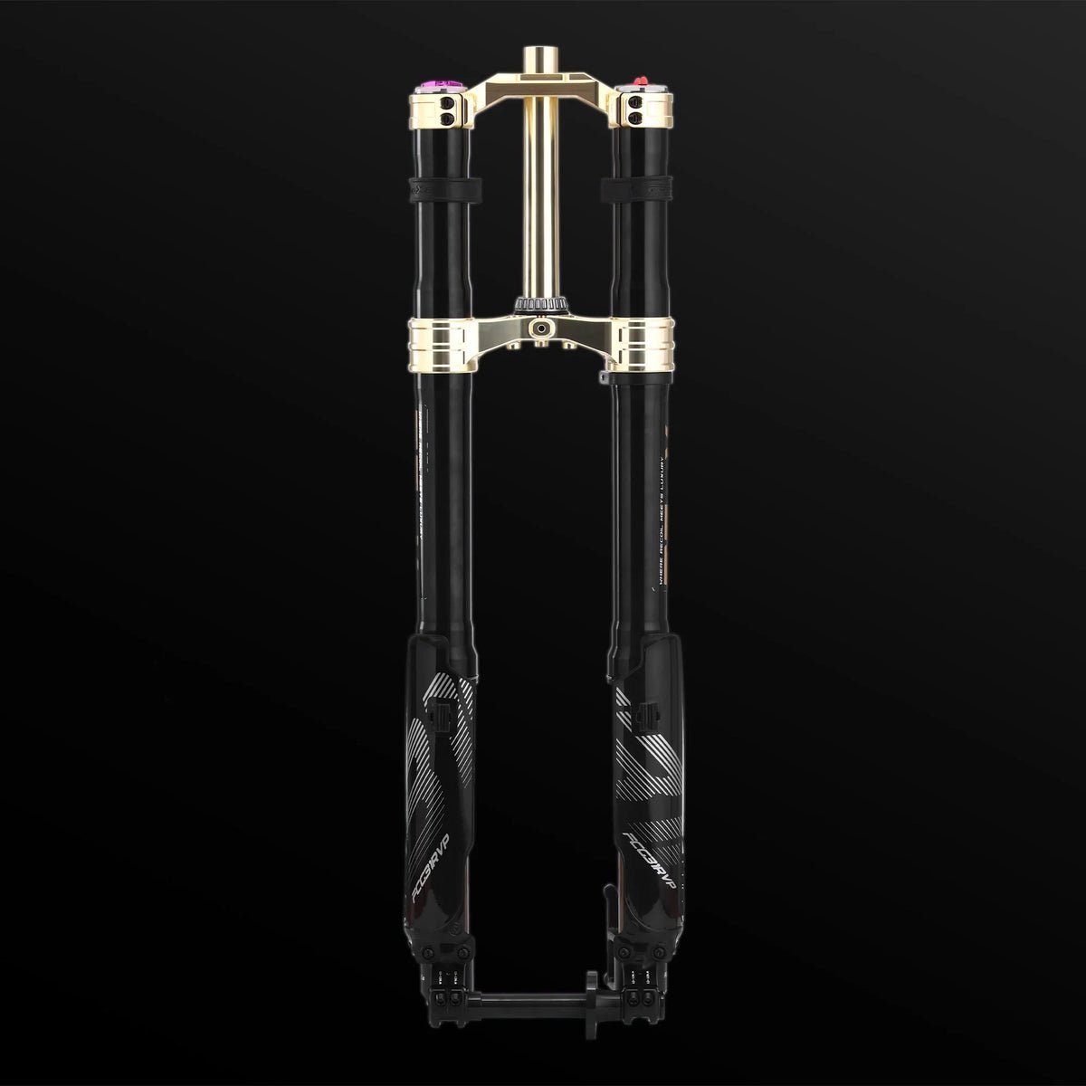 RFloXa Hawk31 Max (Gold) - Zappscycles