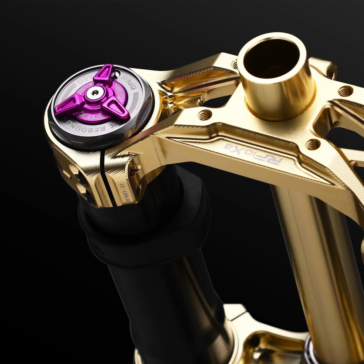 RFloXa Hawk31 Max (Gold) - Zappscycles
