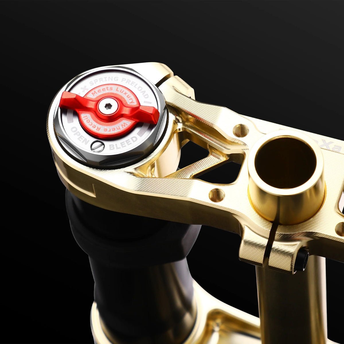 RFloXa Hawk31 Max (Gold) - Zappscycles