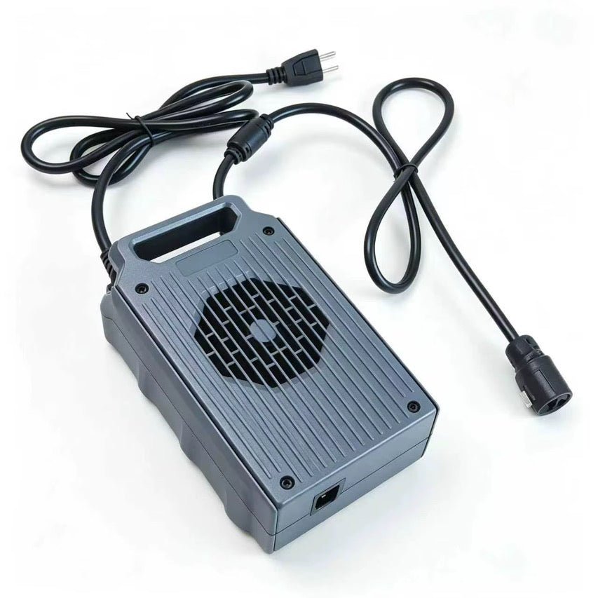 Surron Ultra Bee Fast Charger (2026 Model) - Zappscycles