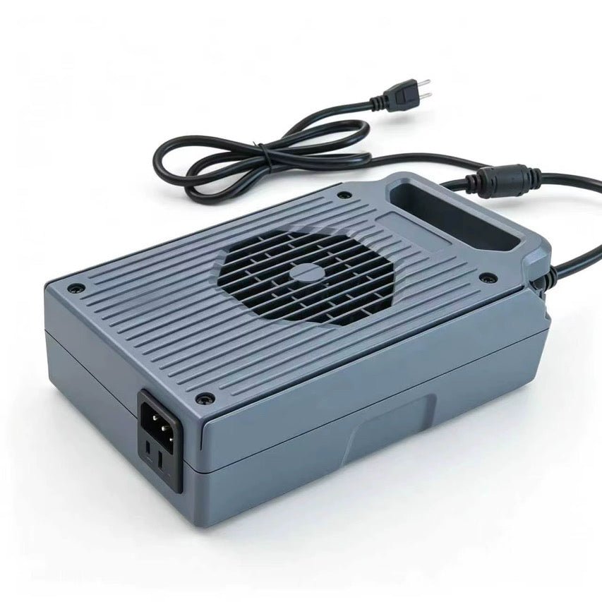 Surron Ultra Bee Fast Charger (2026 Model) - Zappscycles