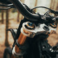 Talaria Komodo - Zappscycles