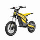 Villain - Zappscycles